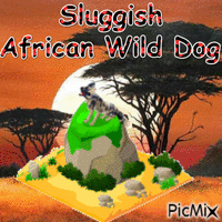 Sluggish African Wild Dog animuotas GIF