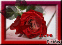 ❤ Augenia Rózsa Love ❤ ! - Darmowy animowany GIF