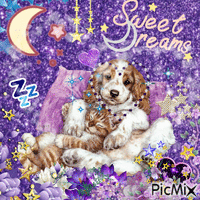 sweet dreams - Бесплатный анимированный гифка