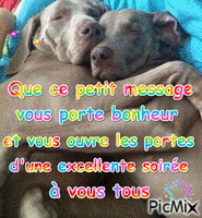 DEUX GRANDS CHIENS - Free animated GIF