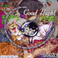 good night cats анимированный гифка
