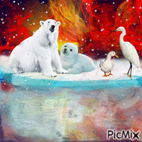 La neige et le feu rp - Zdarma animovaný GIF