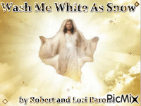 Wash Me White As Snow by Robert and Lori Barone GIF animé