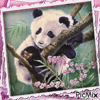 Panda bear - GIF animasi gratis