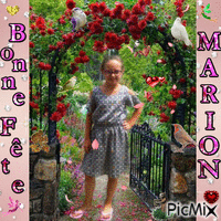 fête Marion Animated GIF
