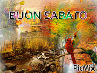 BUON SABATO - Gratis geanimeerde GIF