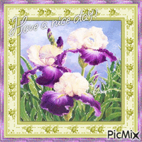 Iris flowers - GIF animado gratis