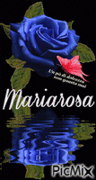 Mariarosa geanimeerde GIF
