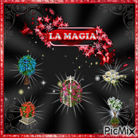 LA MAGIA - 無料のアニメーション GIF