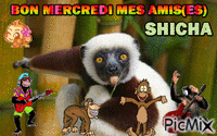 SMERC1 GIF animé