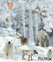 Les annimaux dans le froid - Безплатен анимиран GIF