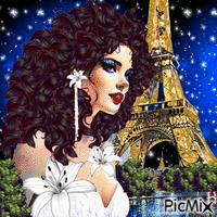 Ночи Парижа animovaný GIF