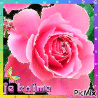 PicMix - Gratis geanimeerde GIF