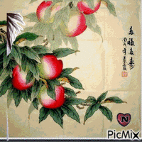 Hoa dep vv - Besplatni animirani GIF