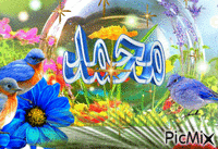 Mohammad - Gratis animerad GIF
