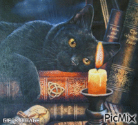 el gato negro - GIF animado grátis