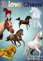 I love cheval !!!!! - Gratis animerad GIF