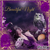 Beautiful Night - GIF animé gratuit