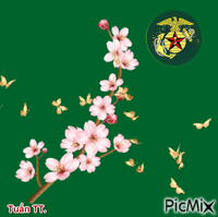 Hoa đào mùa xuân - Animovaný GIF zadarmo