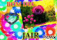 BOM DIA - Darmowy animowany GIF