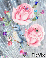 un oiseaux avec des belle rose アニメーションGIF