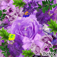 Purple animirani GIF