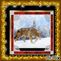 Loup en hiver - GIF animé gratuit