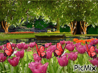 Campo di tulipani - GIF animé gratuit