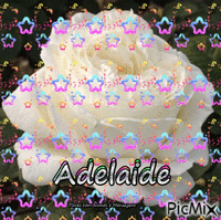 Adelaide 动画 GIF