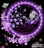 Lovely Purple - Nemokamas animacinis gif