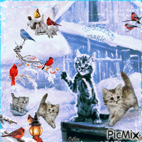 Birds and cats. Winter magic GIF แบบเคลื่อนไหว