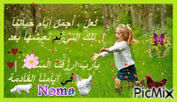 noma κινούμενο GIF