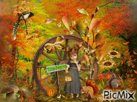 Forêt d'automne - Gratis animeret GIF