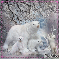 ours blanc - GIF animé gratuit
