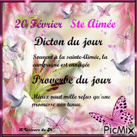 dicton et proverbe 20 février Animated GIF