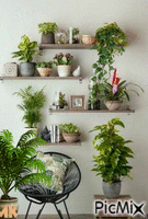 Rincón de plantas animovaný GIF