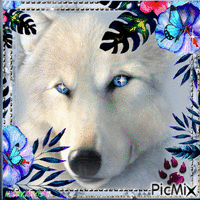 I Am The White Wolf Animated GIF