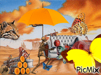 Delirios anaranjados animált GIF