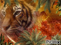 tigre - 無料のアニメーション GIF