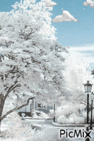 winter wonderland - GIF animate gratis