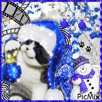 Blue Christmas - cats 𖤐 - GIF animé gratuit