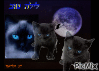 לילה טוב  חתולים GIF animé