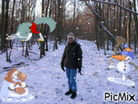 ballade en foret sous la neige animovaný GIF