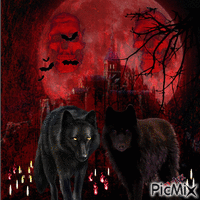 red moon and wolf - GIF animé gratuit