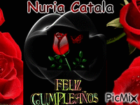 Aniversario Nuria - GIF animado gratis