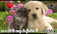 chien et chat - Ingyenes animált GIF