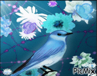 mon oiseau - Animovaný GIF zadarmo