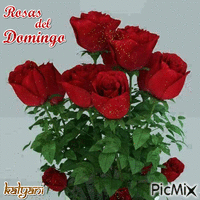 Rosas del Domingo7 - GIF animado grátis