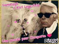 HOMMAGE A KARL LAGERFELD - Free animated GIF