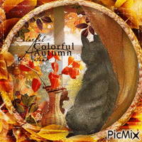 Autumn cat black - Zdarma animovaný GIF